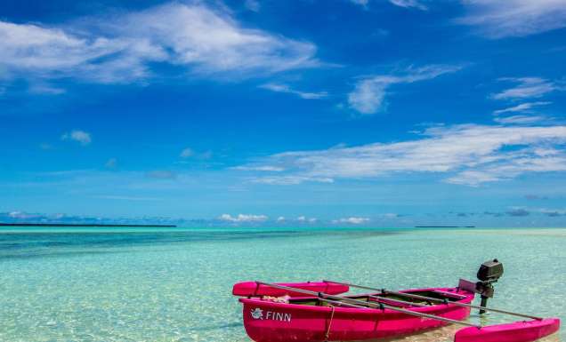 Cocosday Motorised Canoe Safari