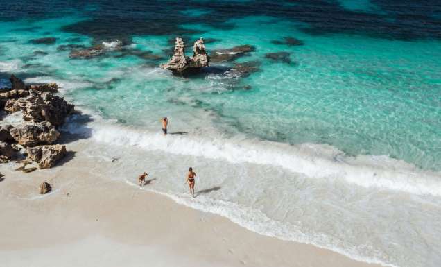 People and dog walking into ocean at Vivonne Bay.