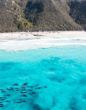 turquoise waters of Twilight Bay