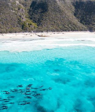 <p><i>Top Towns for 2022</i>: Enchanting spots to explore in <strong>Esperance</strong></p>
