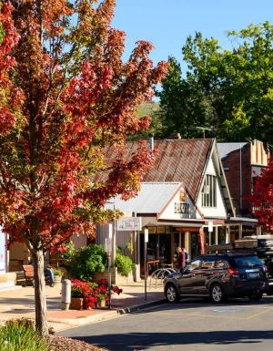 colourful streets of Bright, Vic