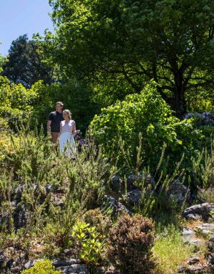 Everglades gardens Leura