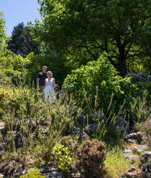 <p><i>Top Towns for 2022</i>: Explore <strong>Leura</strong>’s magical cold-climate gardens</p>

