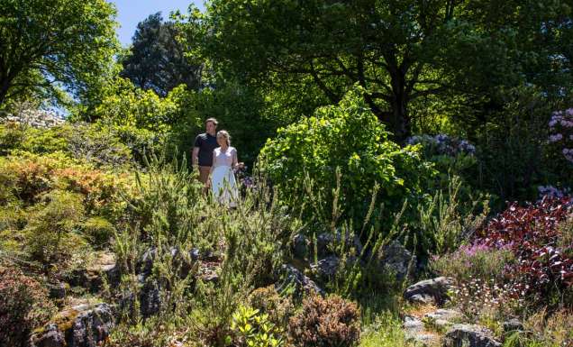 Everglades gardens Leura