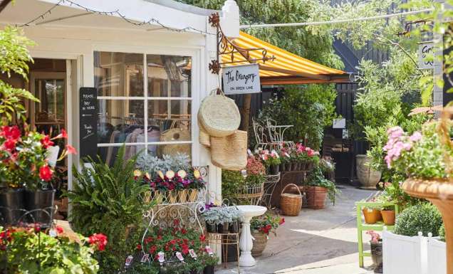 charming side of Green Lane