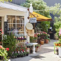 charming side of Green Lane