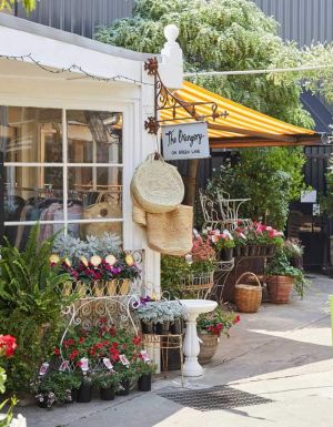 charming side of Green Lane