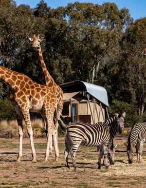 Taronga Western Plains Zoo in Dubbo