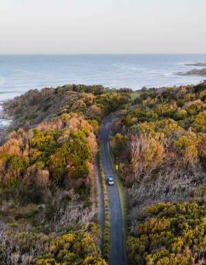 The road to Green Point in Angourie
