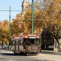 The historic Bendigo Tramways run the length of town.