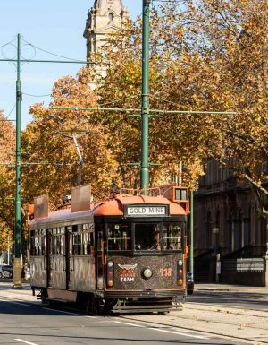The historic Bendigo Tramways run the length of town.