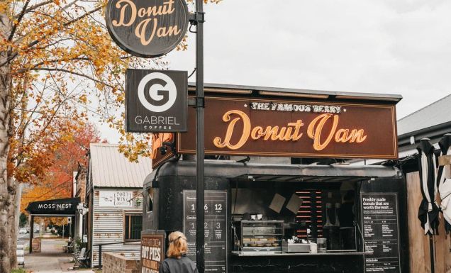 Berry Donut Van