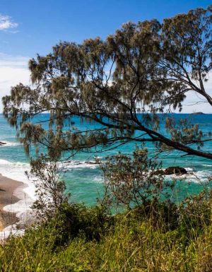 the Coffs Coast