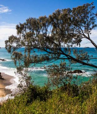 <p><i>Top Towns for 2022</i>: Where to eat, stay and play in <strong>Coffs Harbour</strong></p>
