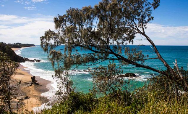 the Coffs Coast