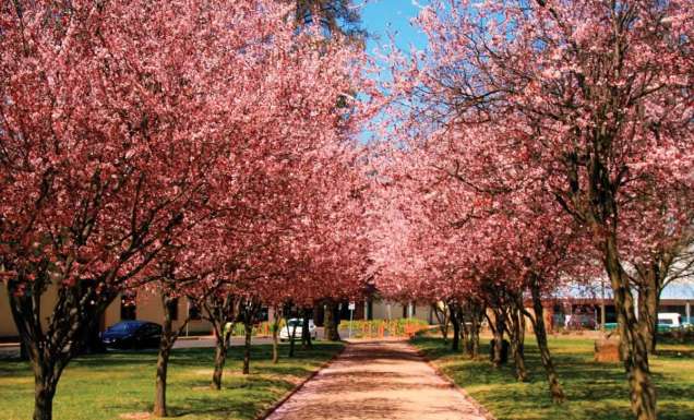 views of Orange Spring