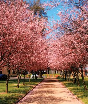 <p><i>Top Towns for 2022</i>: Insider tips to experiencing the best of <strong>Orange</strong></p>
