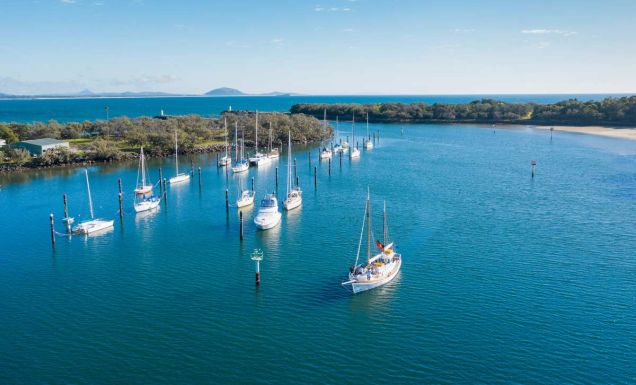 Saltwater Eco Tours Mooloolaba