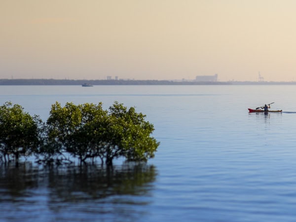 Manly Foreshore in Brisbane