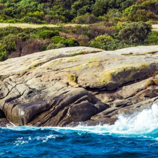 Narooma