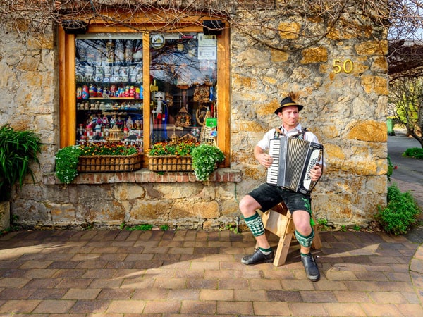 Man playing German polka music in Hahndorf. 