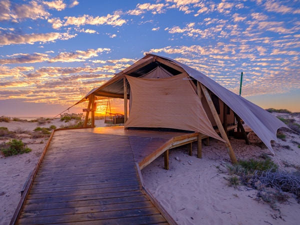 Glamping tent at Sal Salis Ningaloo Reef