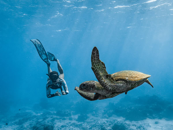 Swimming with turtle on Cocos Keeling Islands