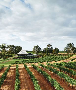 <p><i>20 unmissable</i> <strong>Margaret River</strong> wineries</p>
