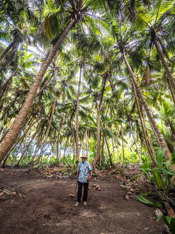 Wild Coconut Discovery Centre