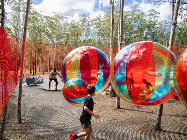 fun activities for kids at the Wildnets