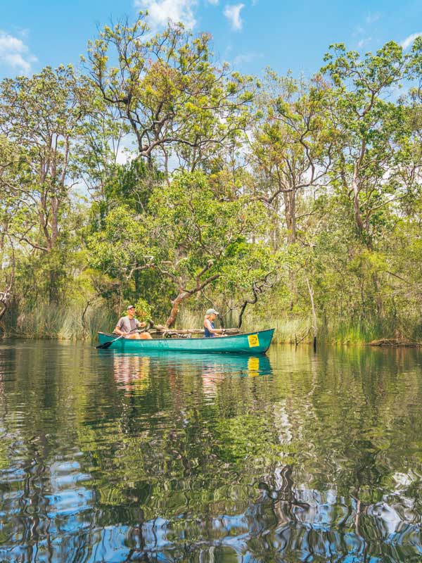 canoeing the Noosa Everglades