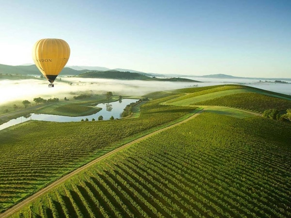 aerial shot of Yarra Valley, Australian Wine Tour Company