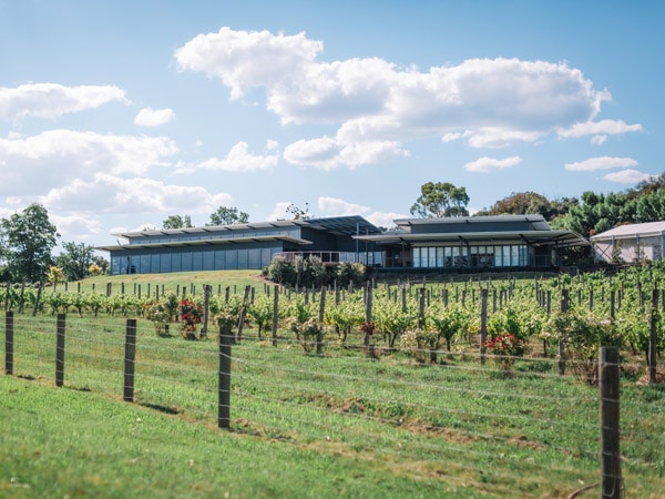 The vineyards at Balgownie Estate Yarra Valley