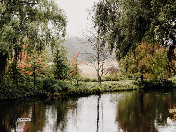 a small pond at Glenrock Gardens
