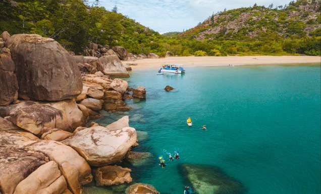 snorkelling at Radical Bay, Magnetic Island, Townsville
