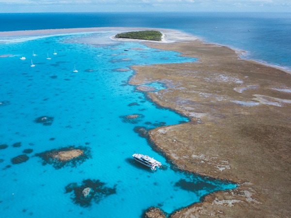 an aerial view of the crystal blue waters and reefs along Lady Musgrave Island 