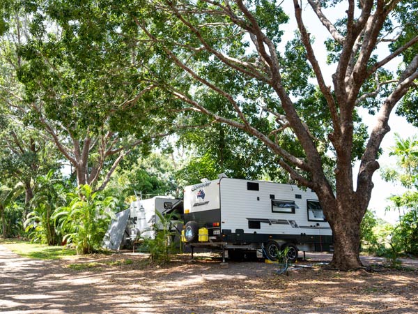 caravans parked next to the trees in Oasis Tourist Park, Darwin