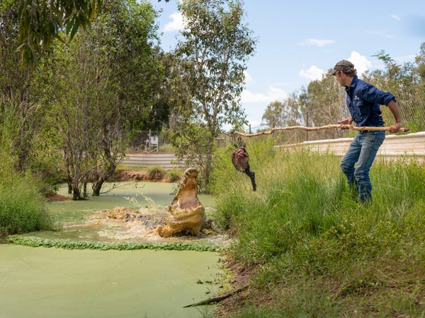 Outback Wrangler Matt Wright