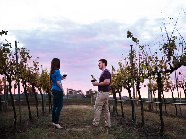 a couple enjoying wine tasting at Petersons Armidale Winery & Guesthouse