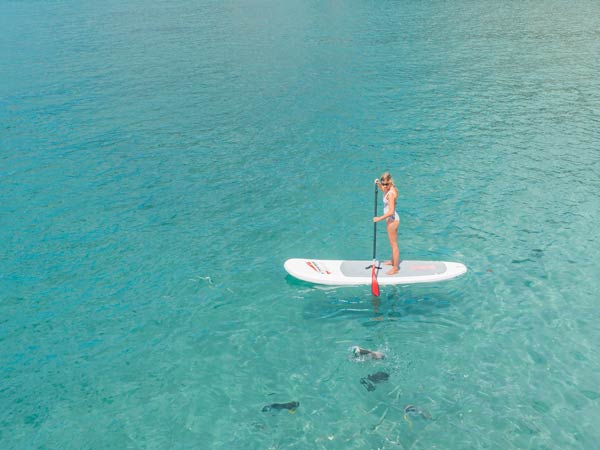 Townsville Stand-up Paddle boarding