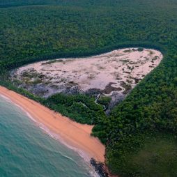 a beach near Tiwi Island Retreat