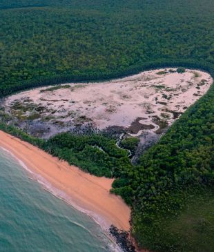 <p><i>Your ultimate guide</i> to the <strong>Tiwi Islands</strong></p>
