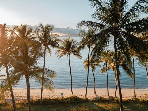 Palm trees and beach in Townsville