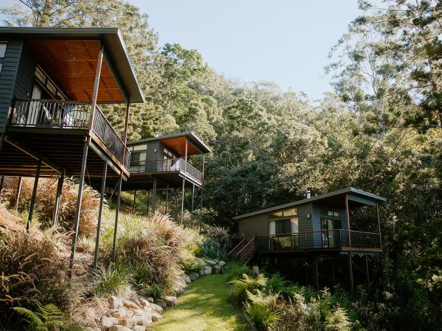 the Rainforest Chalet Airbnb stay in Brisbane