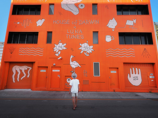 street art in Darwin CBD