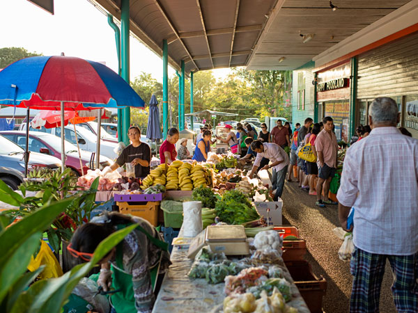 fresh produce stalls at Rapid Creek Markets