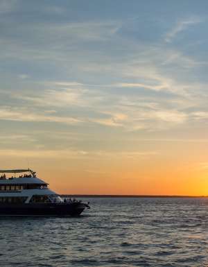 Best things to do in Darwin