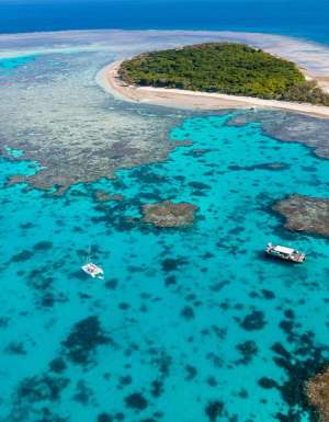 lady musgrave island