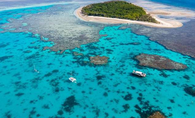 lady musgrave island
