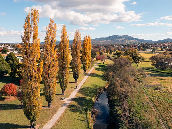 Tenterfield in Autumn